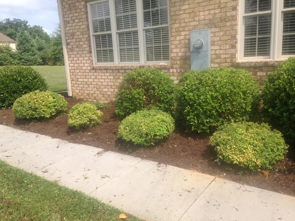Local garden landscaping experts serving Winston-Salem, NC - myEZmow