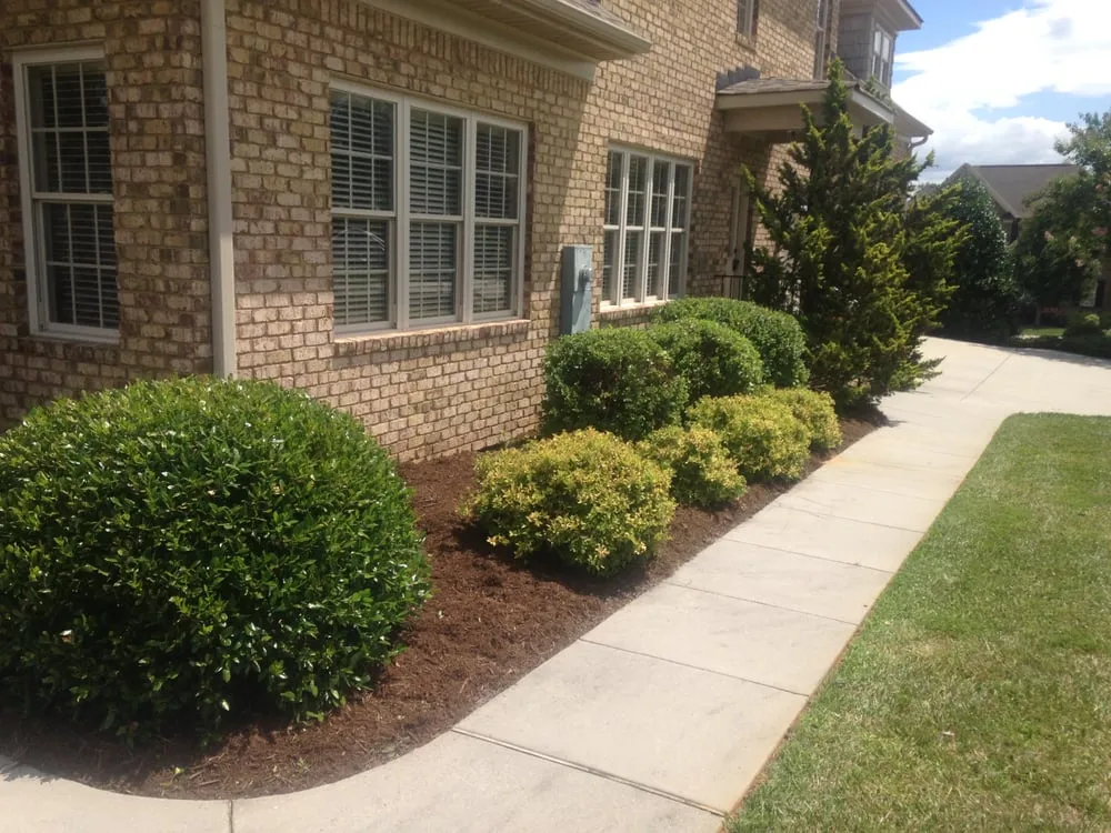 Professional landscaping services in Winston-Salem, NC - myEZmow