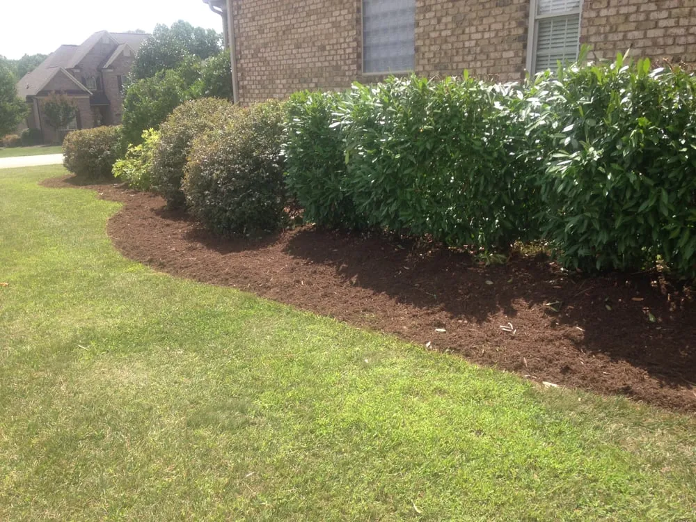 Top-rated lawn care service in Winston-Salem, NC - myEZmow