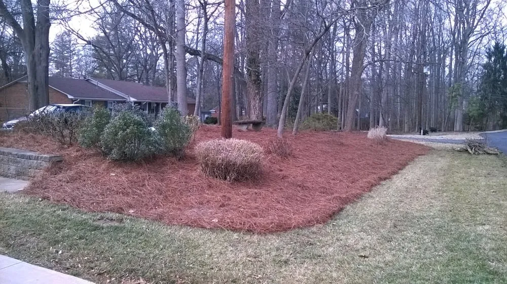 Affordable landscaping services for residential properties across Winston-Salem, NC - myEZmow