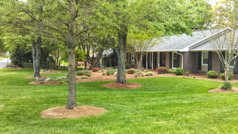 Affordable landscaping services for outdoor upgrades in Winston-Salem, NC by myEZmow
