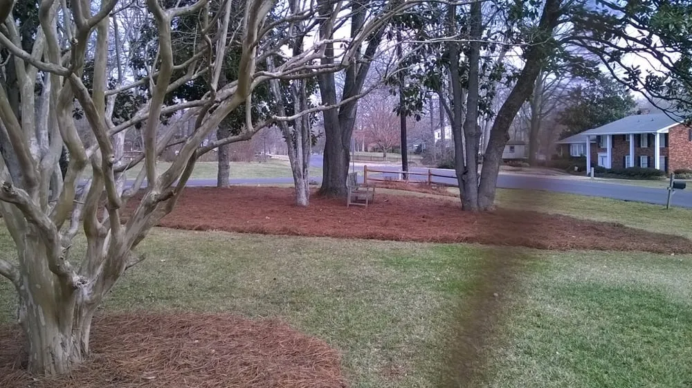 Expert lawn care service for homes across Winston-Salem, NC - myEZmow