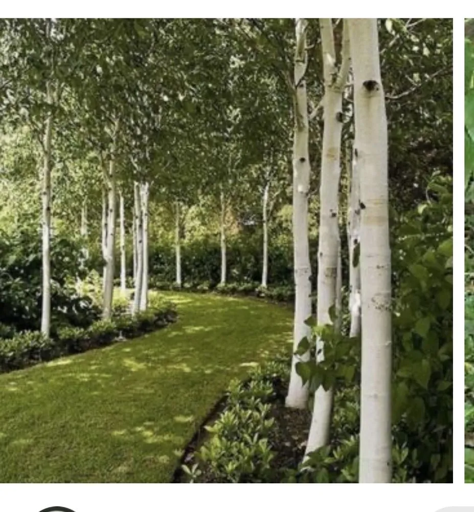 Trusted lawn care service near you across West Des Moines, IA - MyFruitCare