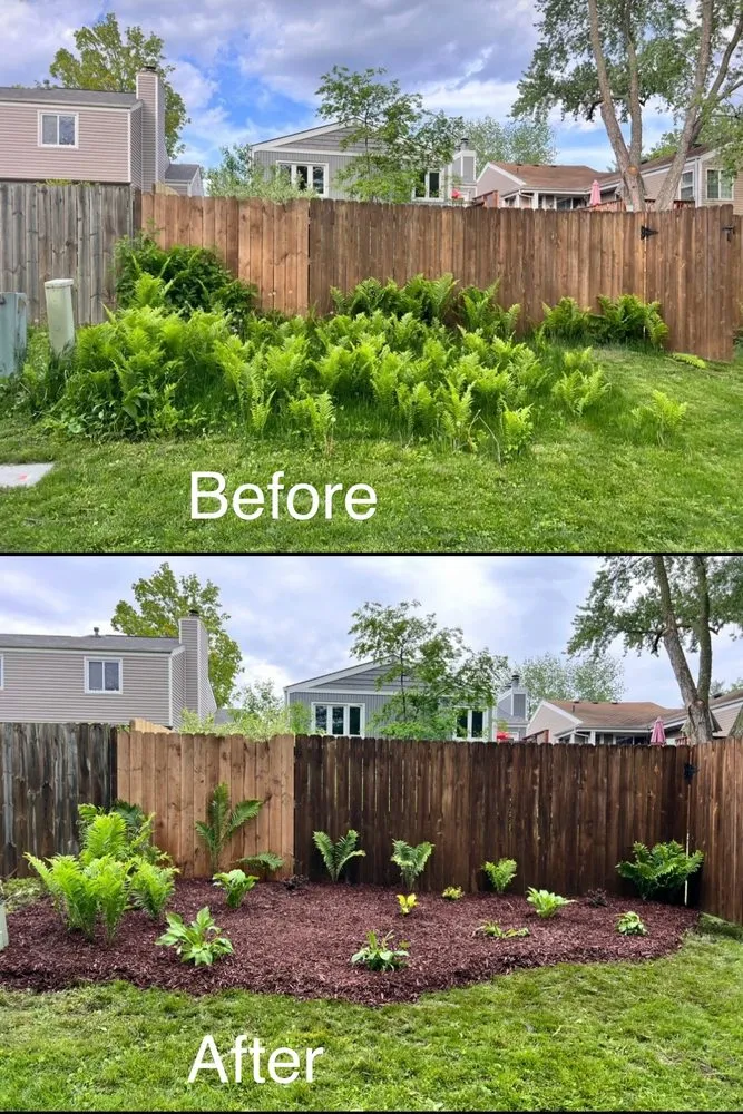 Expert lawn care service in West Des Moines, IA - MyFruitCare