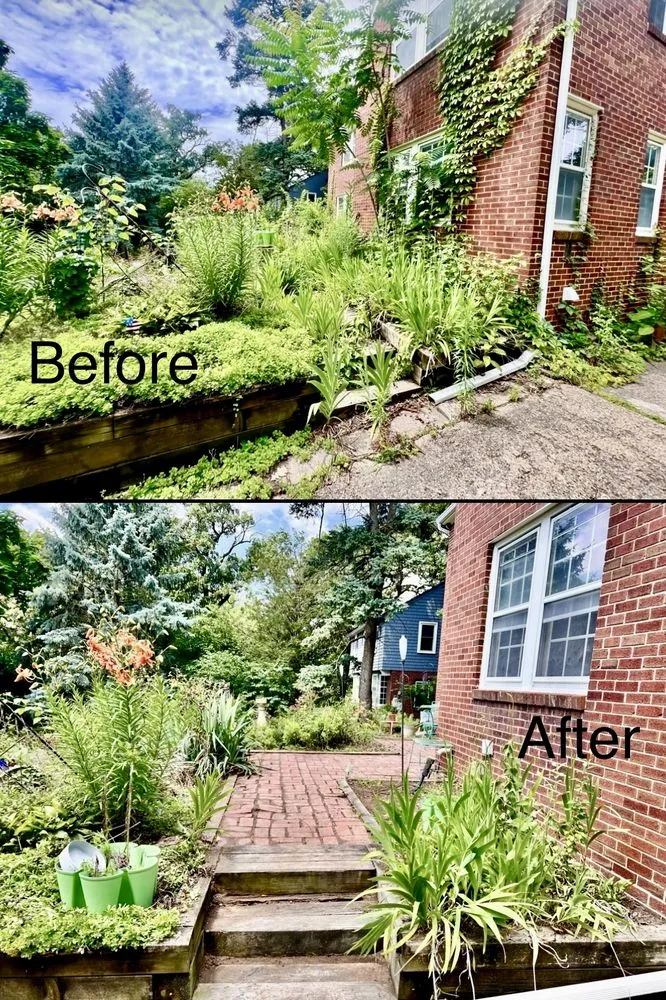 Expert outdoor landscaping in West Des Moines, IA - MyFruitCare