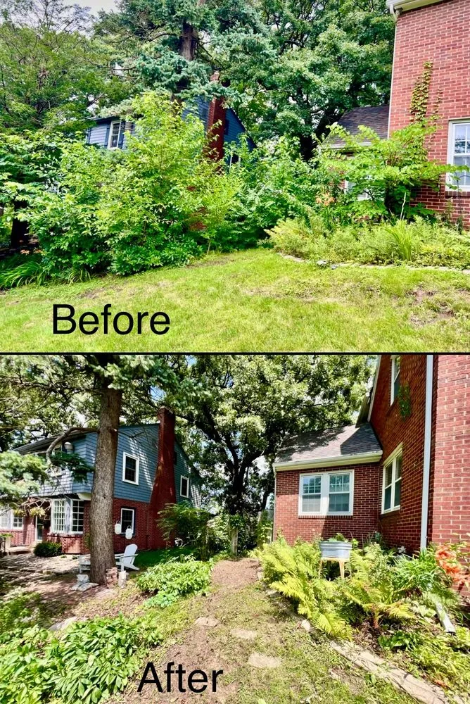 Affordable yard maintenance in West Des Moines, IA - MyFruitCare