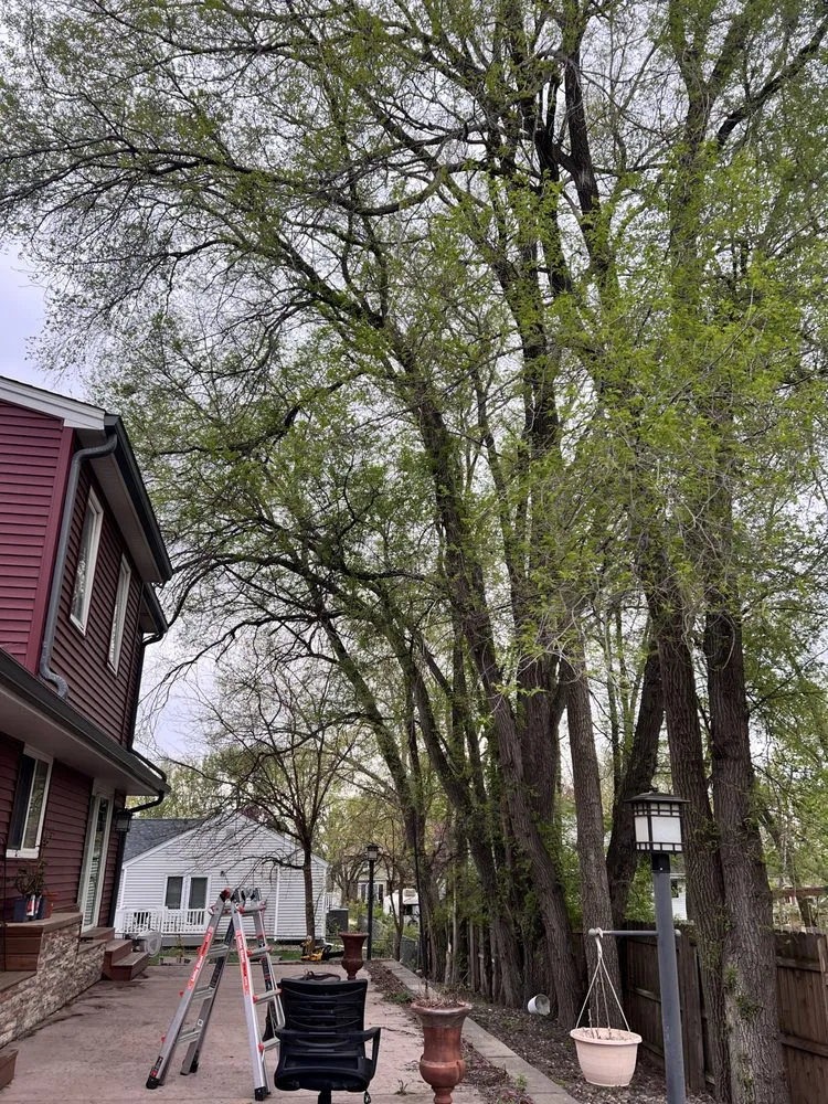 Custom residential landscaping for year-round maintenance across West Des Moines, IA - MyFruitCare