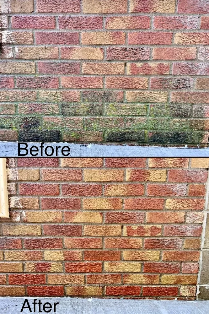 Custom lawn care service with custom design in West Des Moines, IA by MyFruitCare