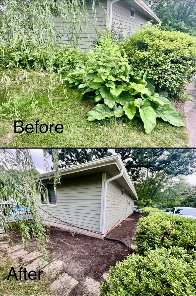 Top-rated yard cleanup service for outdoor upgrades across West Des Moines, IA - MyFruitCare