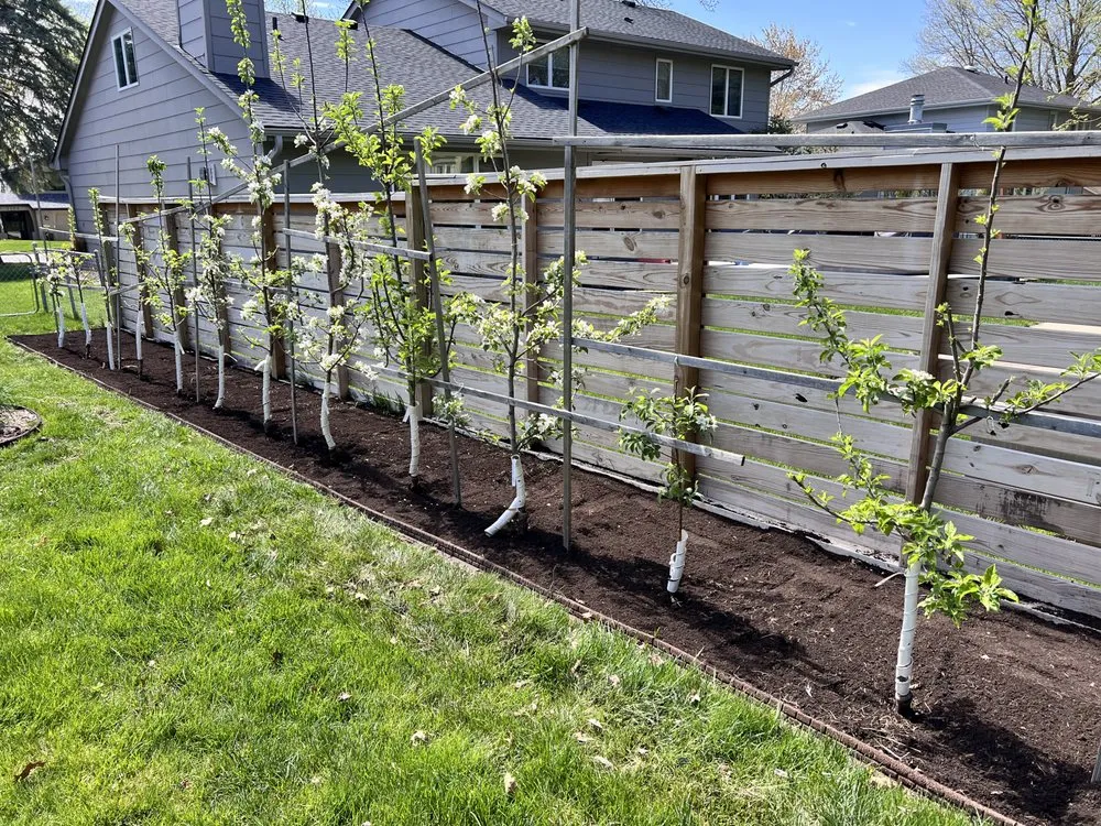 Affordable garden landscaping in West Des Moines, IA - MyFruitCare