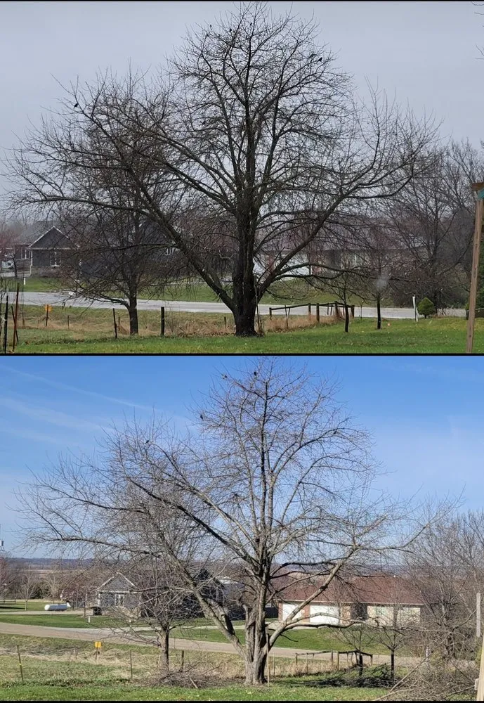 Top-rated yard maintenance experts serving West Des Moines, IA - MyFruitCare