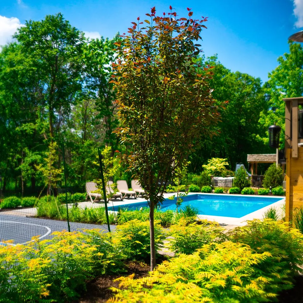 Affordable landscaping services for year-round maintenance in Roseville, MN by Myhra Design Group