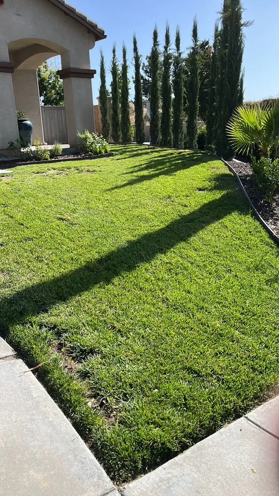 Top-rated lawn care service for outdoor upgrades across Fallbrook, CA - Myke Landscaping & Tree Service
