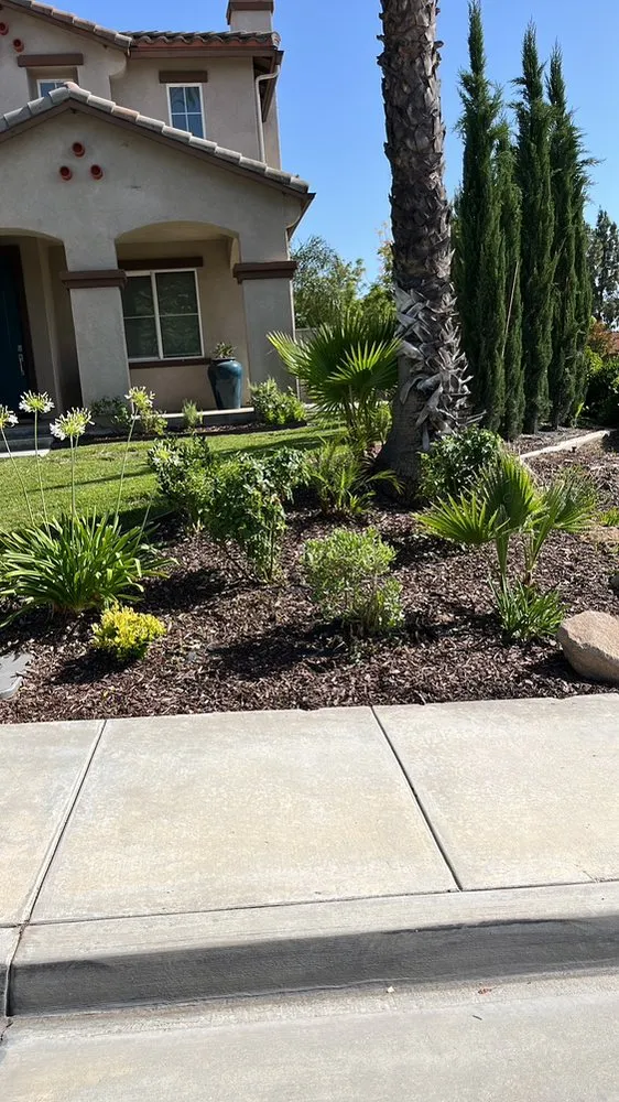 Custom yard cleanup service in Fallbrook, CA - Myke Landscaping & Tree Service