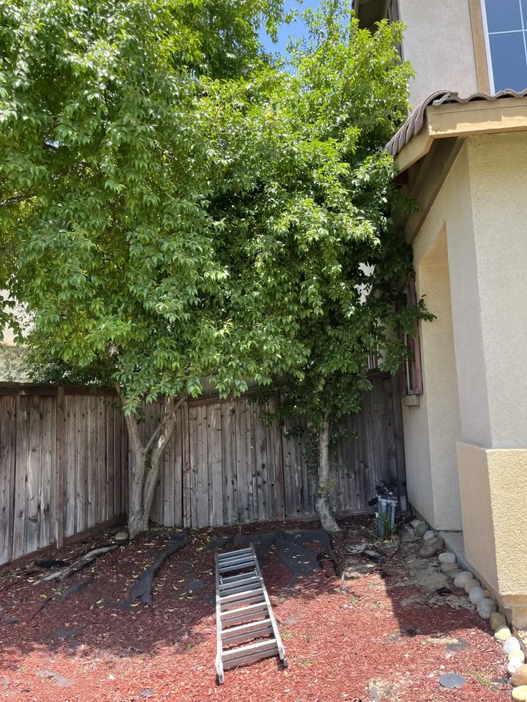 Professional landscape design experts serving Fallbrook, CA - Myke Landscaping & Tree Service