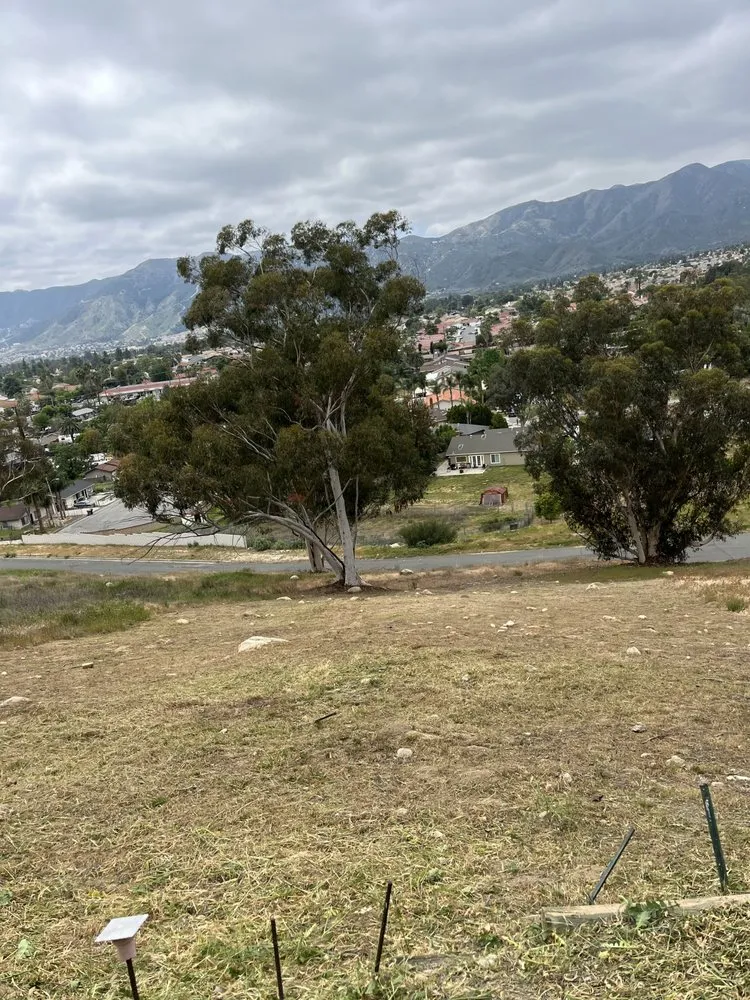 Affordable landscape design experts serving Fallbrook, CA - Myke Landscaping & Tree Service