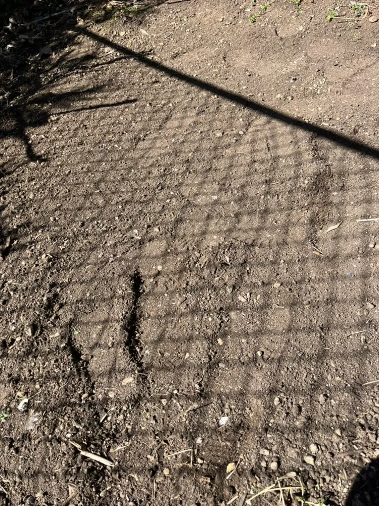 Professional lawn mowing service in Fallbrook, CA by Myke Landscaping & Tree Service