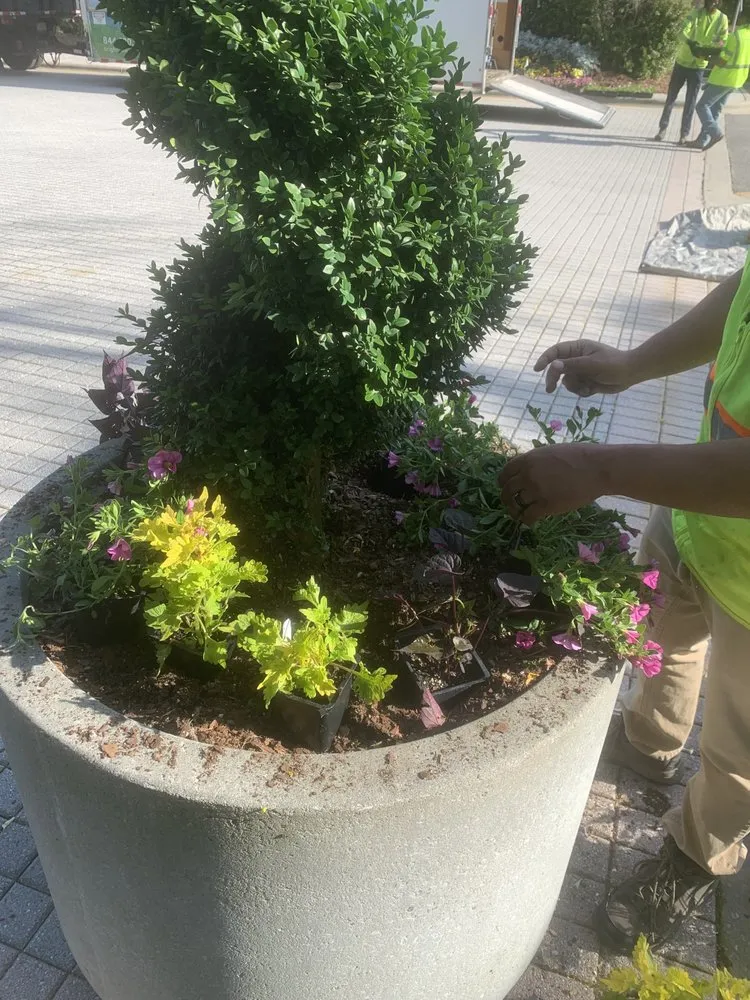 Local landscaping services in Durham, NC - Mylans Way Landscaping