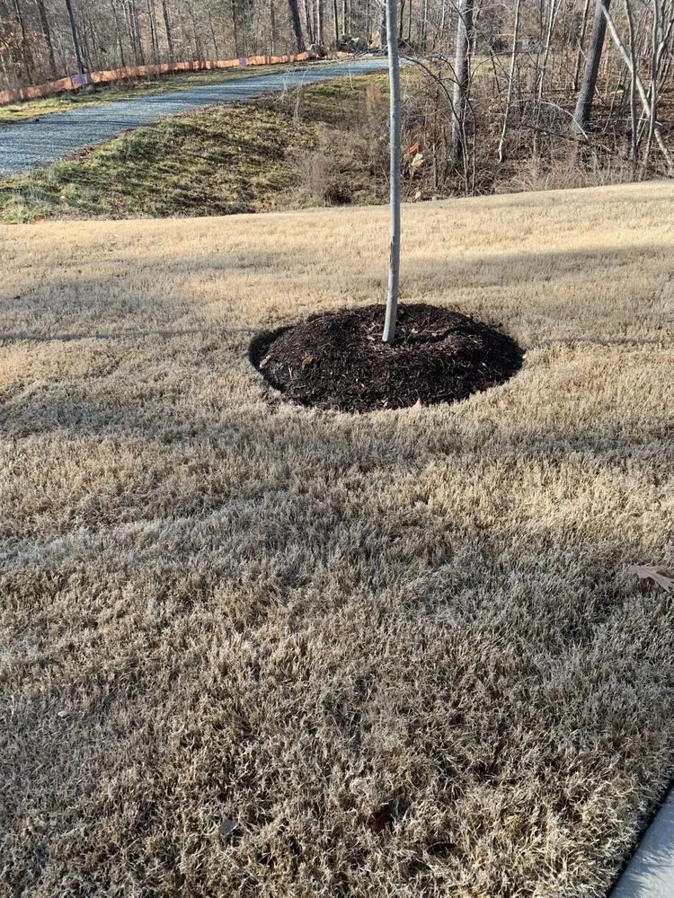 Trusted yard maintenance in Durham, NC - Mylans Way Landscaping