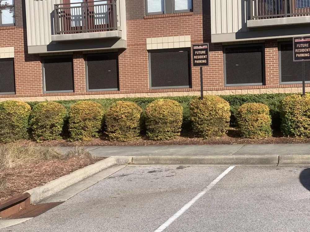 Top-rated yard maintenance for beautiful yards across Durham, NC - Mylans Way Landscaping