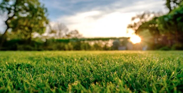 Top-rated residential landscaping experts serving Warren Park, IN - Myles And Son’s