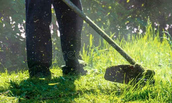 Reliable garden landscaping with custom design in Warren Park, IN by Myles And Son’s