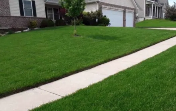 Top-rated landscape installation with custom design across Warren Park, IN - Myles And Son’s
