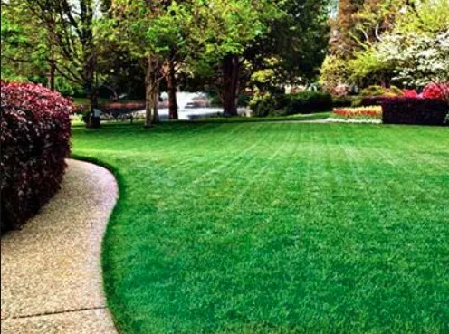 Expert residential landscaping with custom design across Warren Park, IN - Myles And Son’s