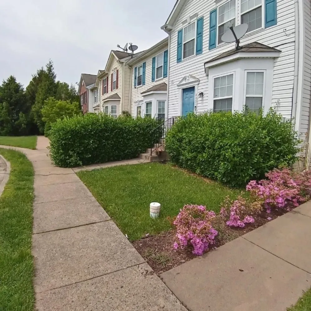 Expert yard cleanup service in Baltimore, MD by Mylestone Landscaping