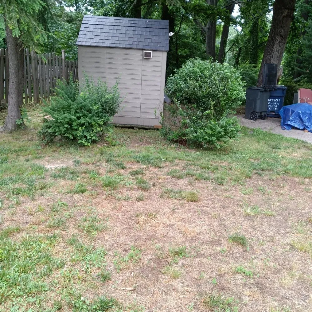 Affordable landscape design for outdoor upgrades across Baltimore, MD - Mylestone Landscaping