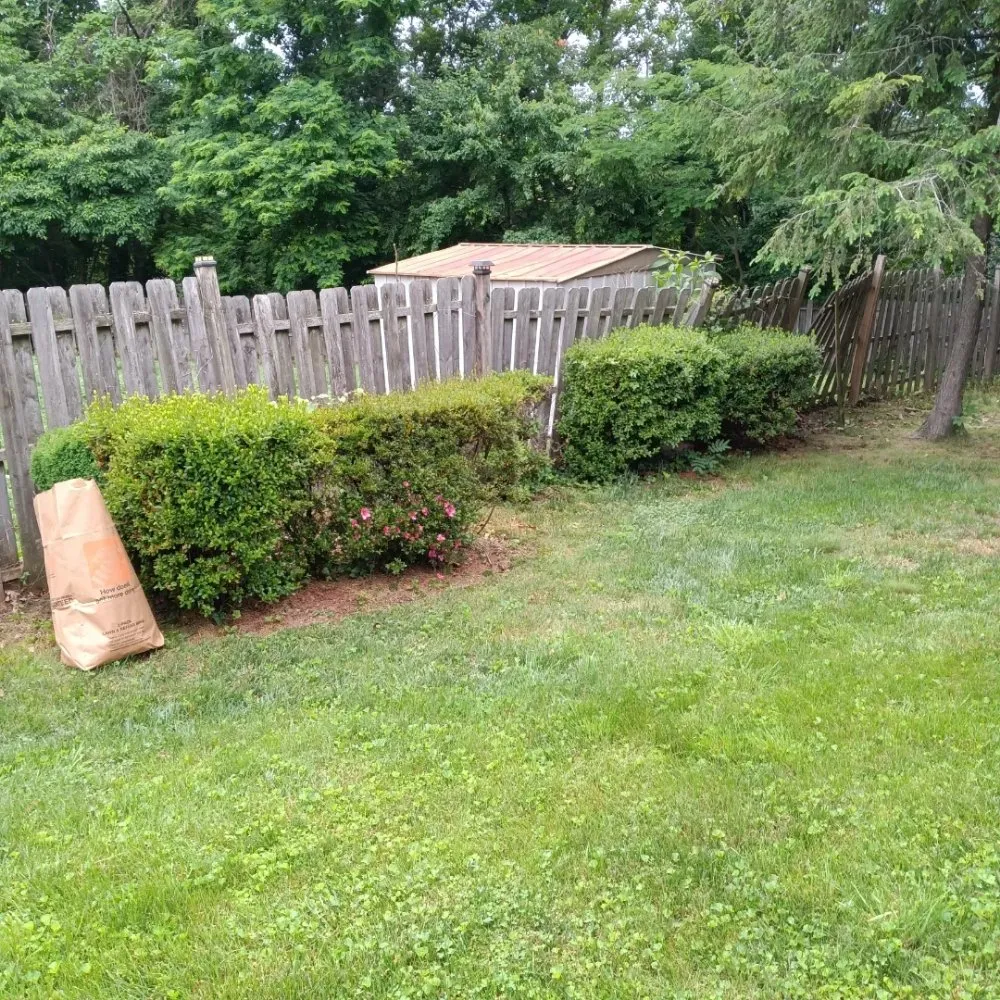 Trusted yard cleanup service for outdoor upgrades across Baltimore, MD - Mylestone Landscaping
