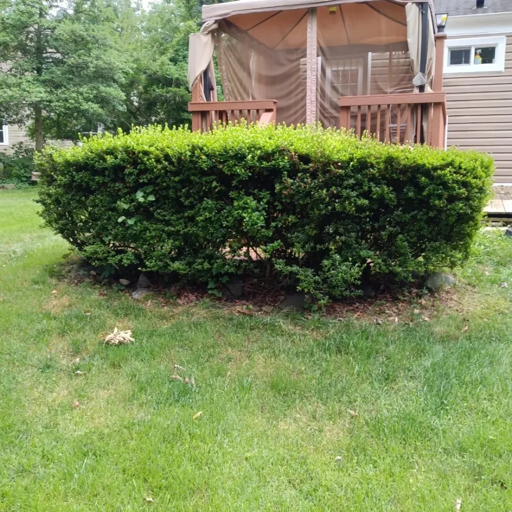 Reliable garden landscaping in Baltimore, MD by Mylestone Landscaping