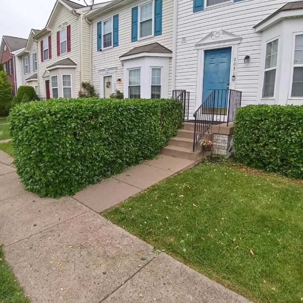 Reliable landscape design in Baltimore, MD by Mylestone Landscaping