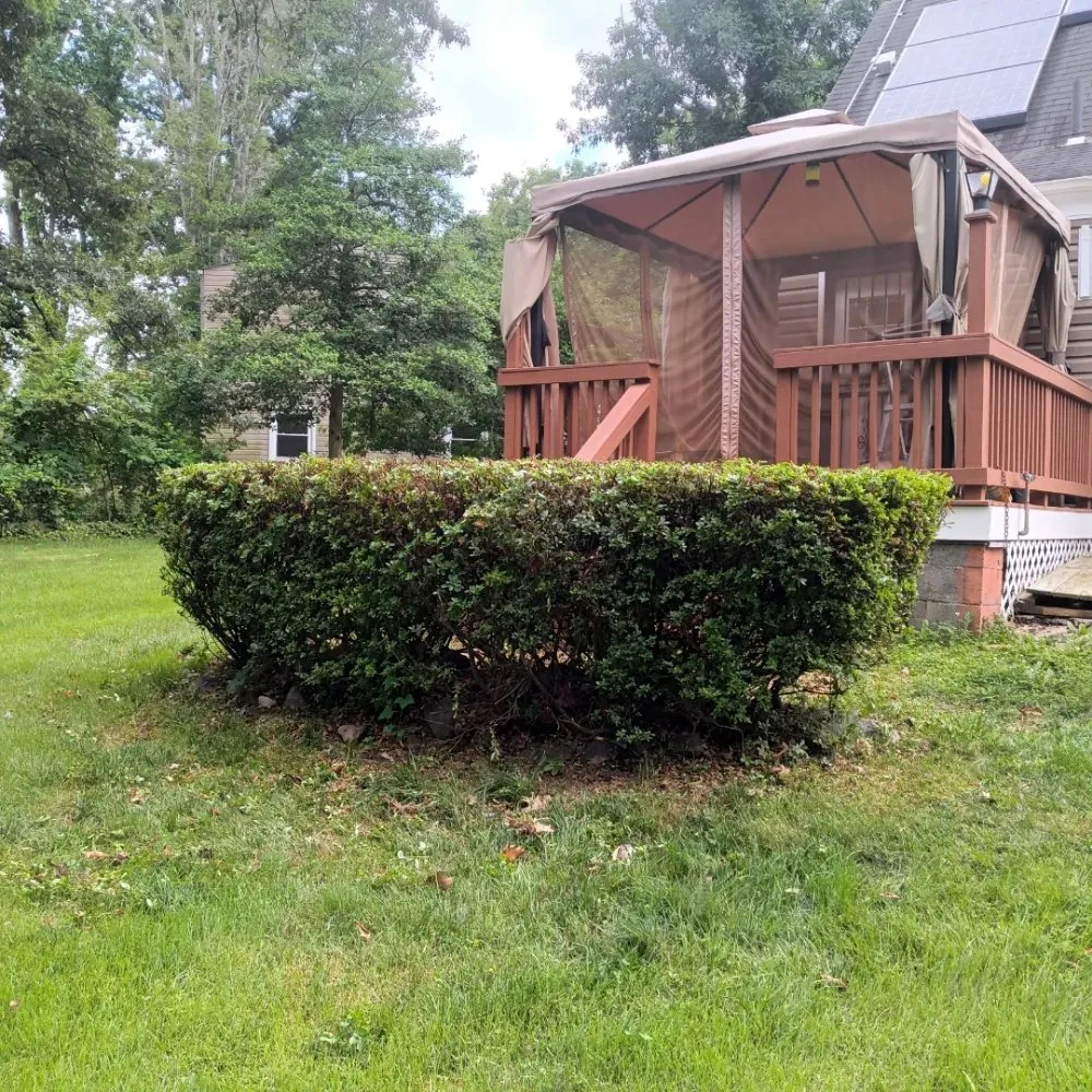 Trusted yard maintenance experts serving Baltimore, MD - Mylestone Landscaping