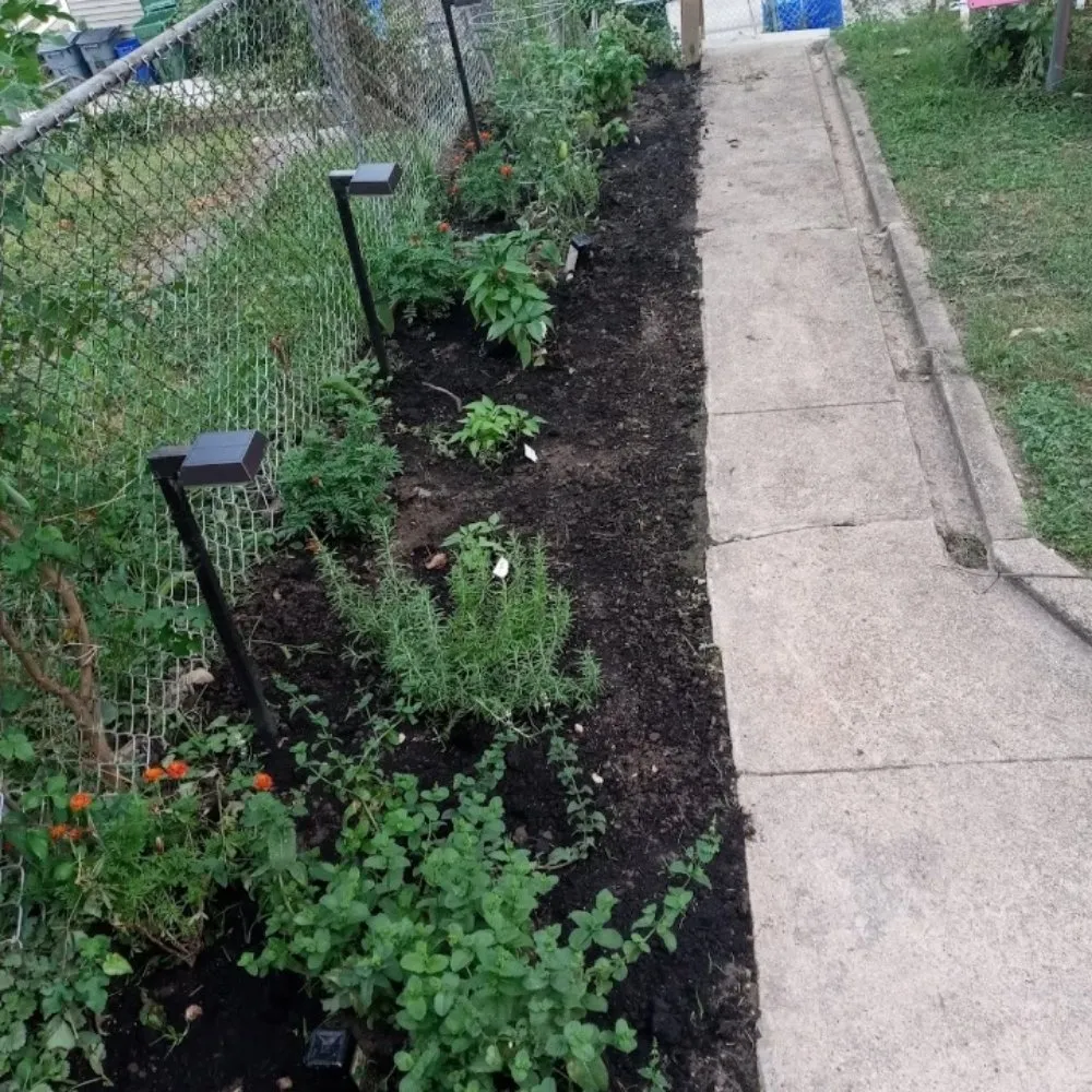 Local residential landscaping for beautiful yards in Baltimore, MD by Mylestone Landscaping