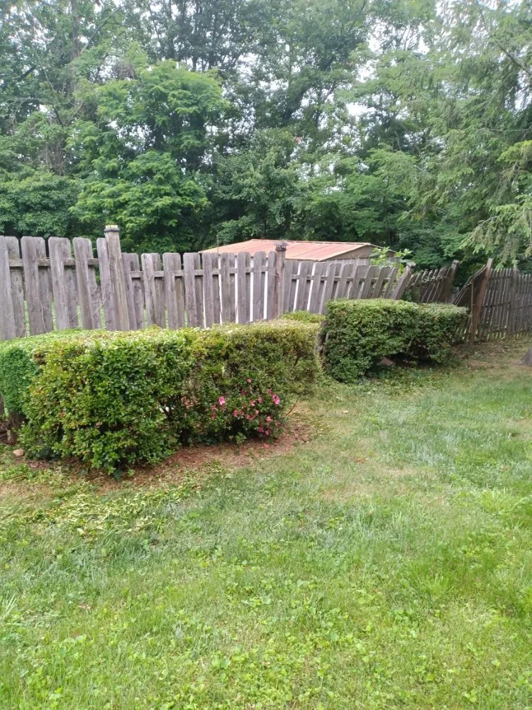 Professional yard maintenance in Baltimore, MD - Mylestone Landscaping