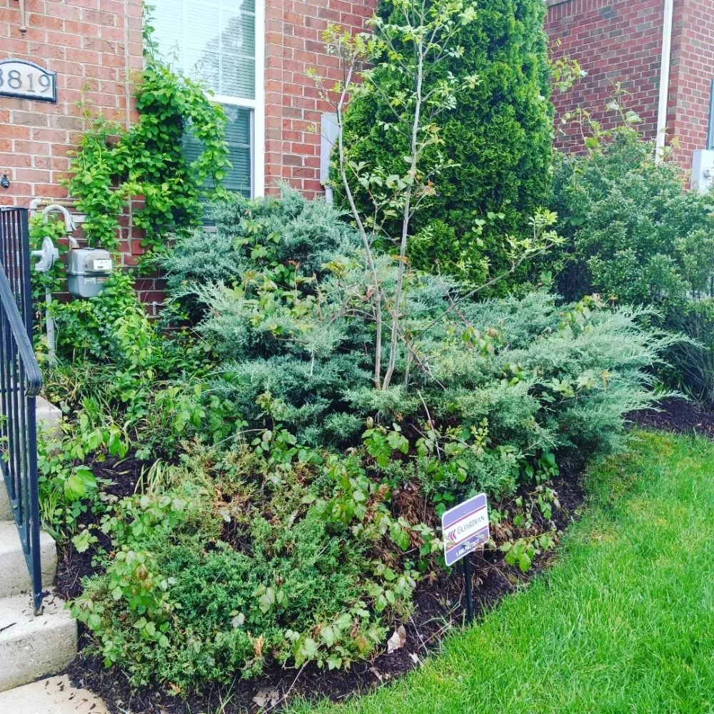 Local outdoor landscaping in Baltimore, MD by Mylestone Landscaping
