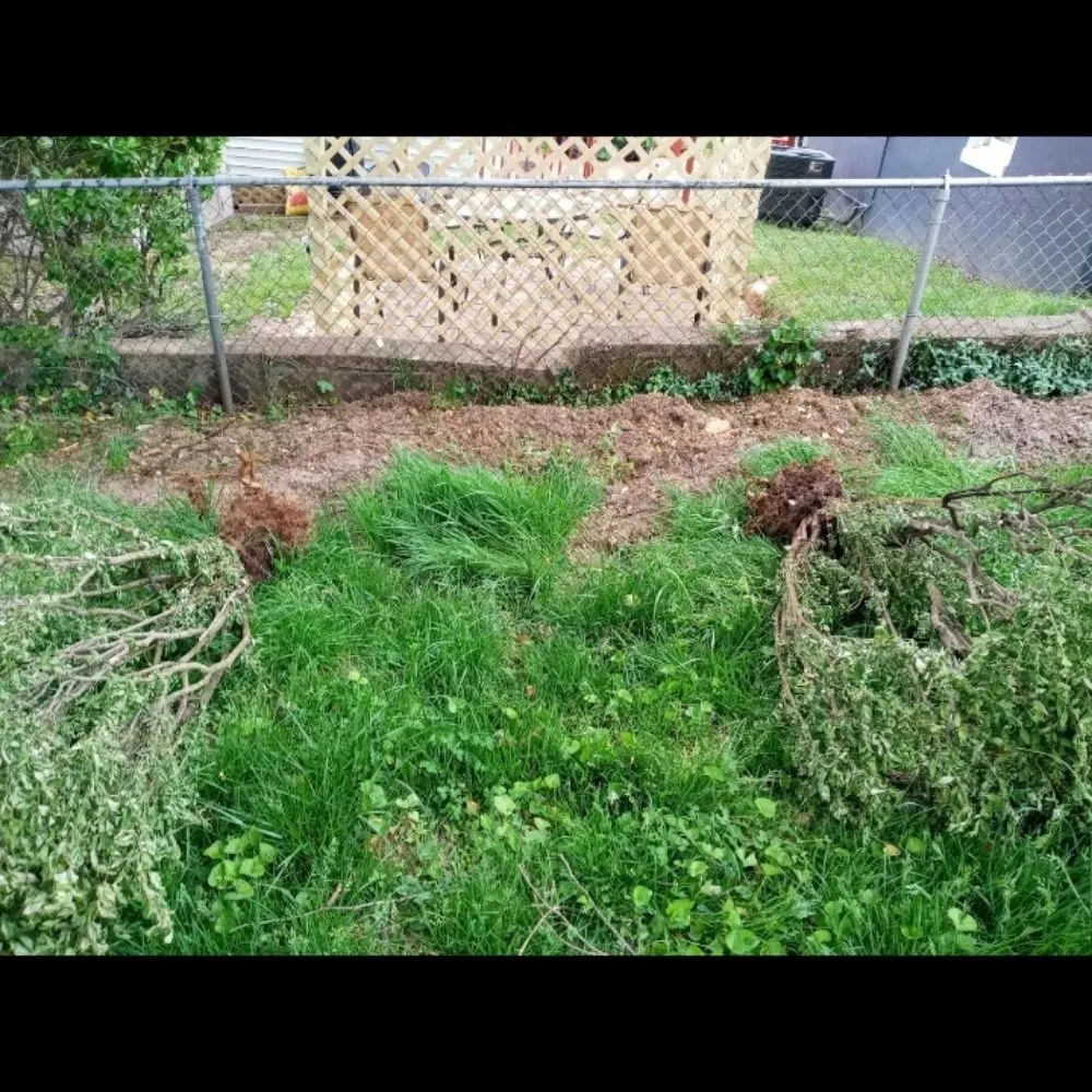 Local yard cleanup service in Baltimore, MD by Mylestone Landscaping