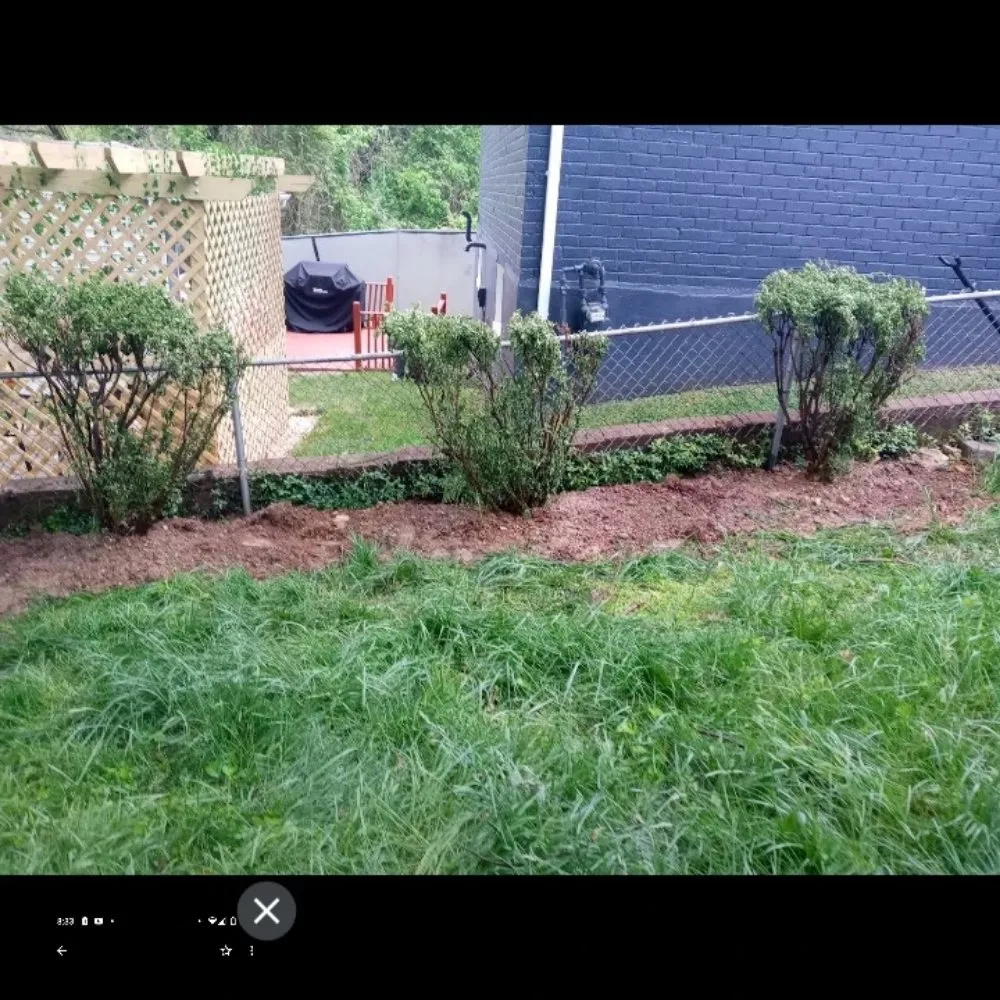 Custom yard maintenance in Baltimore, MD - Mylestone Landscaping