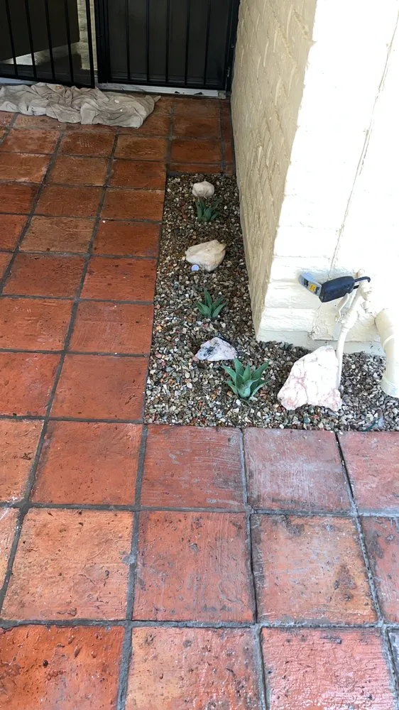 Professional yard cleanup service in Phoenix, AZ by MYM Landscape And Maintenance