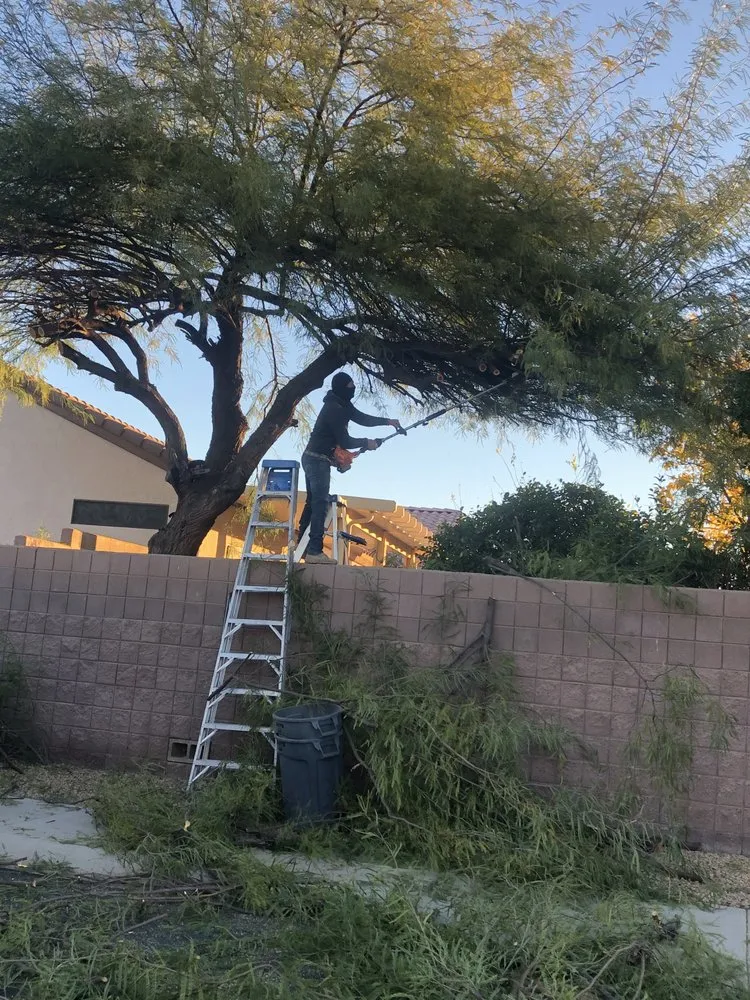 Professional landscape installation in El Mirage, AZ - MyM Landscaping