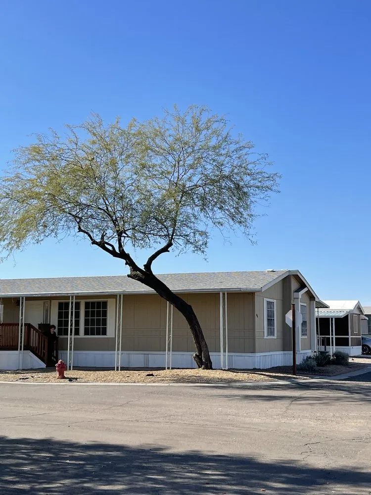 Top-rated landscape design for beautiful yards in El Mirage, AZ by MyM Landscaping