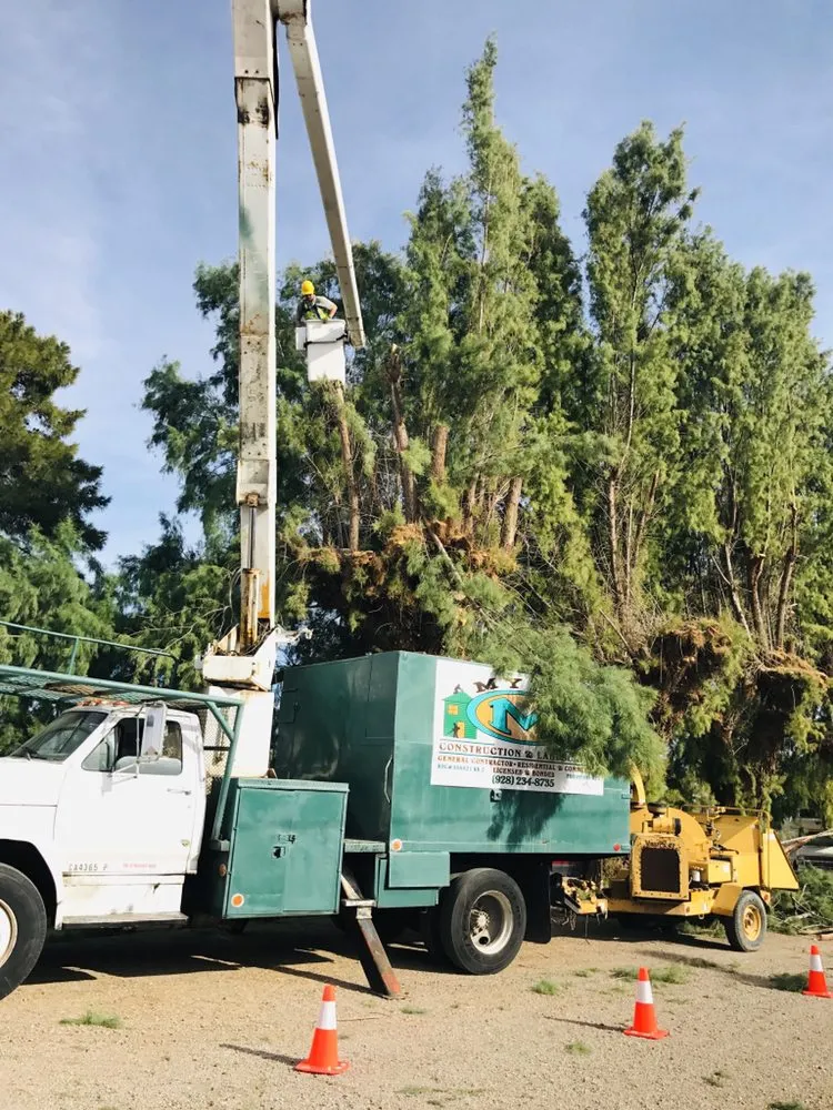 Local yard cleanup service for year-round maintenance in Bullhead City, AZ by Mynk Construction, Landscaping, & Pools
