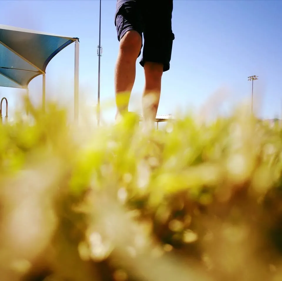 Top-rated landscaping services experts serving Bullhead City, AZ - Mynk Construction, Landscaping, & Pools