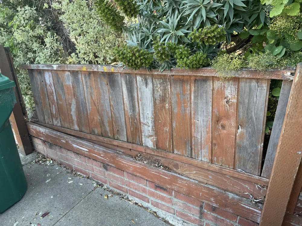 Expert landscape installation experts serving San Pablo, CA - Mynor's Landscaping and Hardscaping