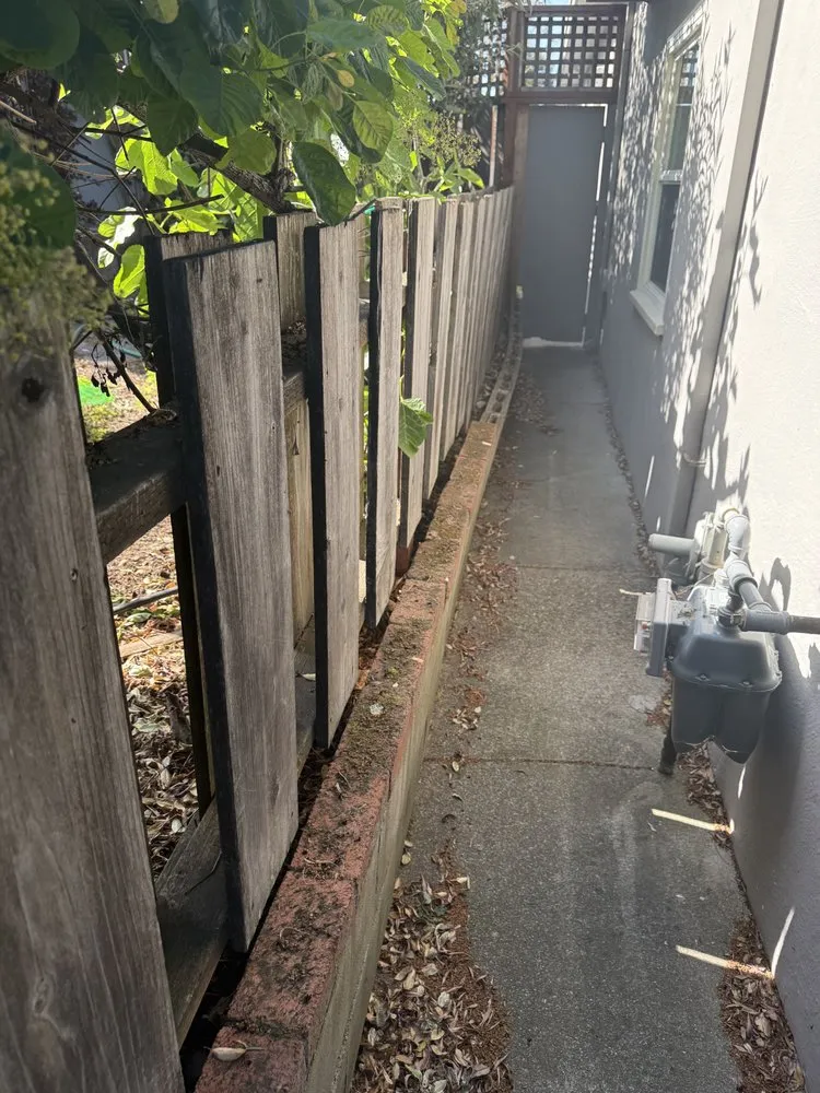 Professional yard cleanup service experts serving San Pablo, CA - Mynor's Landscaping and Hardscaping