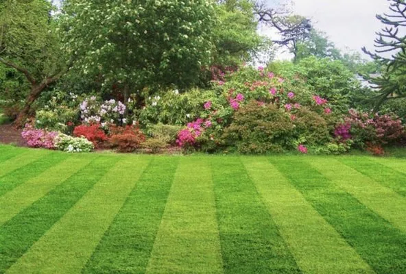 Mynors Landscaping Logo