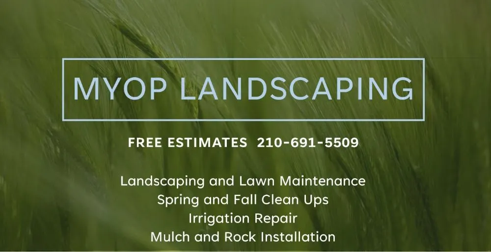 Trusted yard cleanup service in San Antonio, TX by MYOP Landscaping