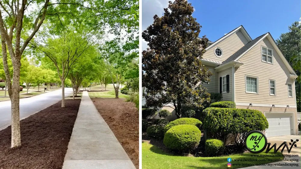 Trusted landscaping services for homes across Temple, GA - Myown Landscaping