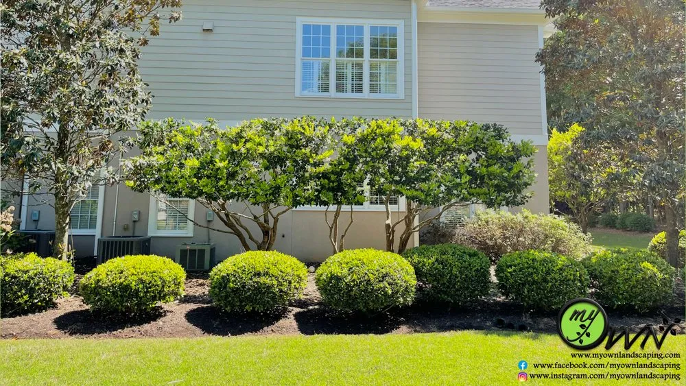 Trusted yard maintenance in Temple, GA by Myown Landscaping